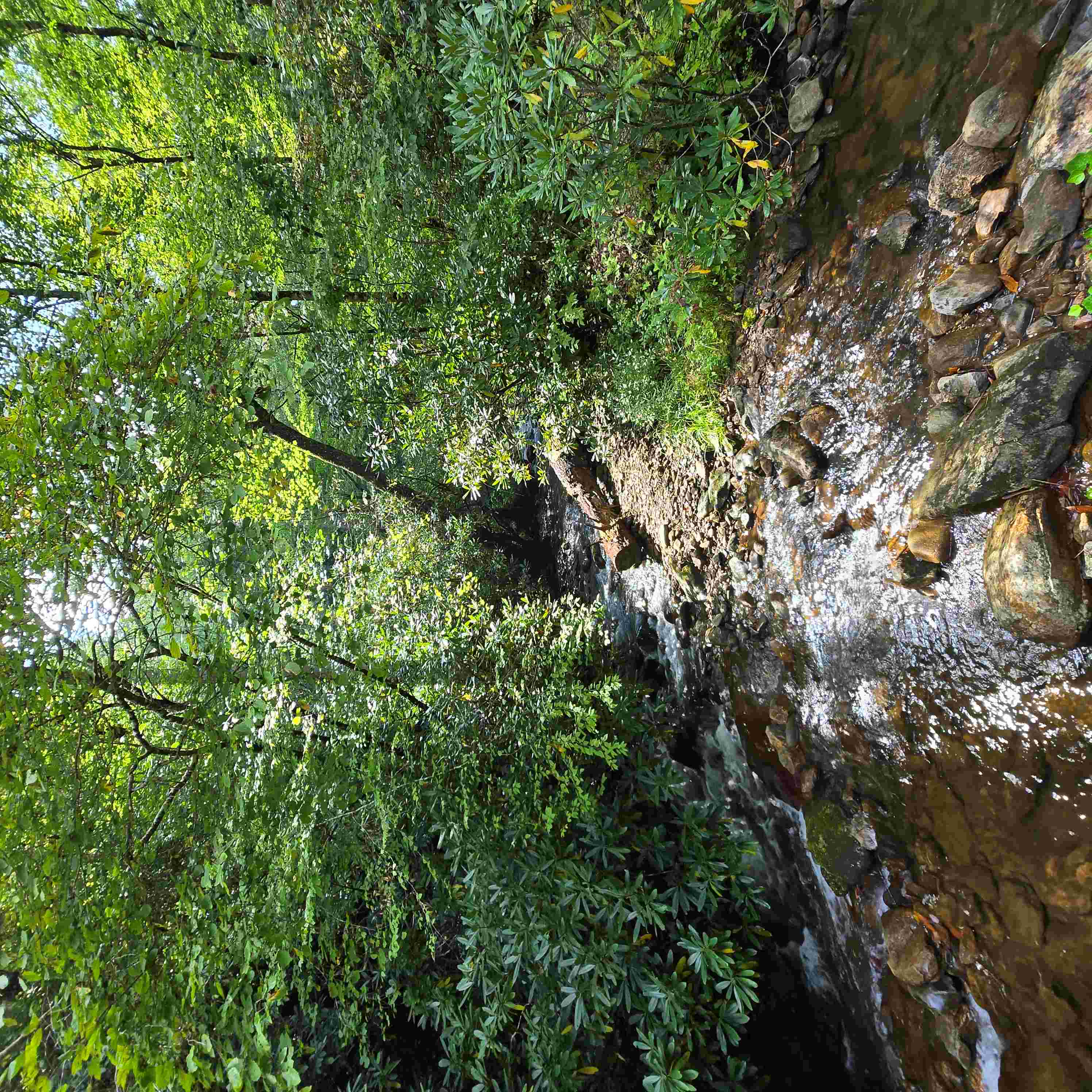 House for sale Franklin NC — creek with rocks