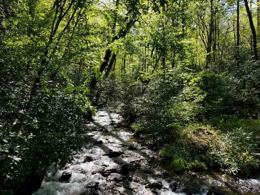 House for sale Franklin NC — creek through forest